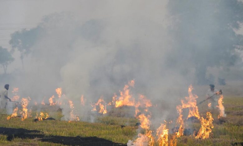In SC spotlight, CAQM shows four-year statistics to argue dip in farm fires