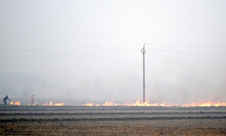 Punjab sees season’s maximum single day spike in farm fires at 1,251