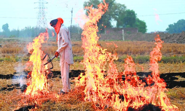 The discrepancy between satellite data of farm fires and air pollution | Explained