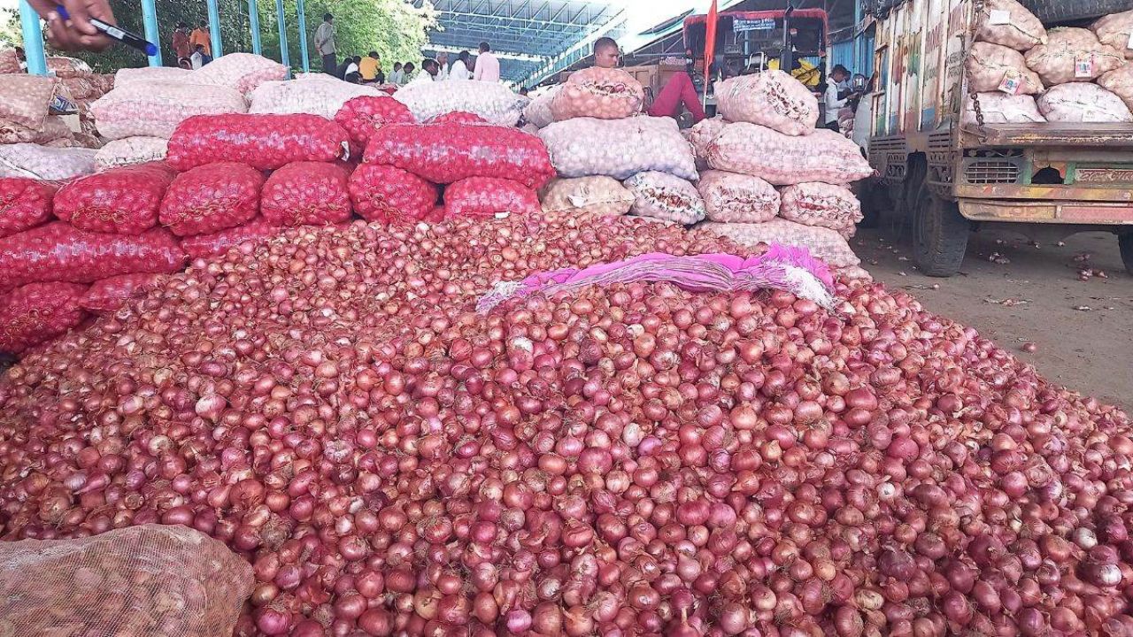 Onion export duty abolished: किसानों को राहत, कीमतों पर कैसा पड़ेगा असर?