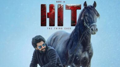 Hit 3 Worldwide Collection: HIT 3 का धमाका! तेलुगु सिनेमा ने वर्ल्डवाइड बॉक्स ऑफिस पर मचाई हलचल