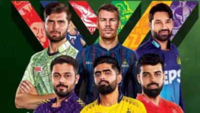 PSL 2025: पाकिस्तान सुपर लीग का खेल अब अनिश्चितकाल तक स्थगित! UAE में आयोजन हुआ रद्द