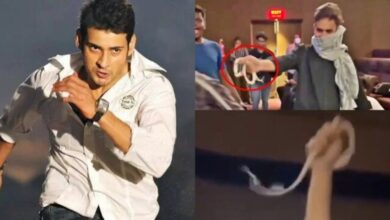 Khaleja Movie: थिएटर में फैन की सनक! महेश बाबू के लिए सांप लेकर पहुंचा, मचा हड़कंप!