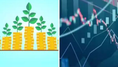 Mutual Fund: भारतीय शेयर बाजार में उठा-पटक का दौर जारी, क्या फिर आएगा बुल रन?
