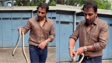 सोसायटी में घुसा सांप और आ गया Sonu Sood का शेर दिल सामने, वायरल हुआ वीडियो