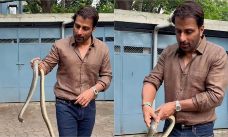 सोसायटी में घुसा सांप और आ गया Sonu Sood का शेर दिल सामने, वायरल हुआ वीडियो