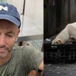 Delhi Stray Dogs: दिल्ली में आवारा कुत्तों पर विवाद! आयरिश राइटर ने जताई गहरी चिंता, बोले- “10 लाख जानवर खतरे में”