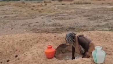 Shivaganga's Nadgudi village: 21वीं सदी में वीरान गांव! पीने के पानी की किल्लत ने उजाड़ दिया सिवगंगा का नडगुडी गांव