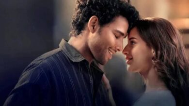 Dhadak 2 की कमाई में गिरावट, छठे दिन भी संघर्ष जारी, नई फिल्मों से टक्कर बनी मुश्किल