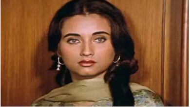 Salma Agha: स्टारडम मिला लेकिन प्यार में नाकामी, सलमा आगा की अधूरी कहानी आज भी दिल तोड़ देती है