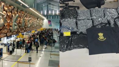 दिल्ली एयरपोर्ट पर फर्जी NIA अफसर बनी महिला गिरफ्तार, 11 किलो वीड बरामद