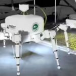 Spider Robot: घर बनाना इतना आसान कब हुआ? Spider रोबोट ने किया ऐसा कमाल जिसे देख दुनिया दंग!