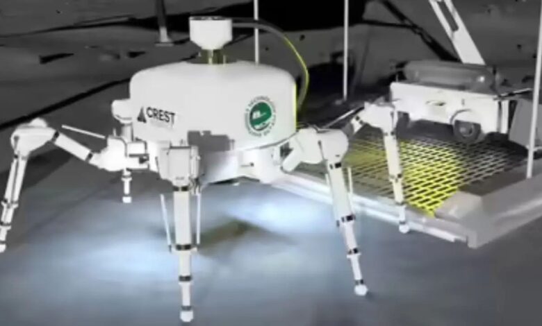 Spider Robot: घर बनाना इतना आसान कब हुआ? Spider रोबोट ने किया ऐसा कमाल जिसे देख दुनिया दंग!