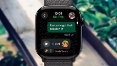 WhatsApp Apple Watch app: अब wrist से पढ़ें, रिप्लाई करें और कॉल अलर्ट पाएं बिना iPhone के