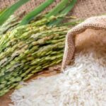 IREF Budget Demands 2026: चावल निर्यातकों ने बजट 2026 में 4% ब्याज सब्सिडी और फ्रेट सहायता की मांग की