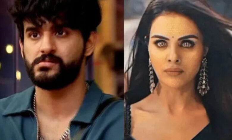 सोशल मीडिया पर प्रियंका ने अभिषेक को किया रोस्ट जवाब में मिला तगड़ा रिएक्शन