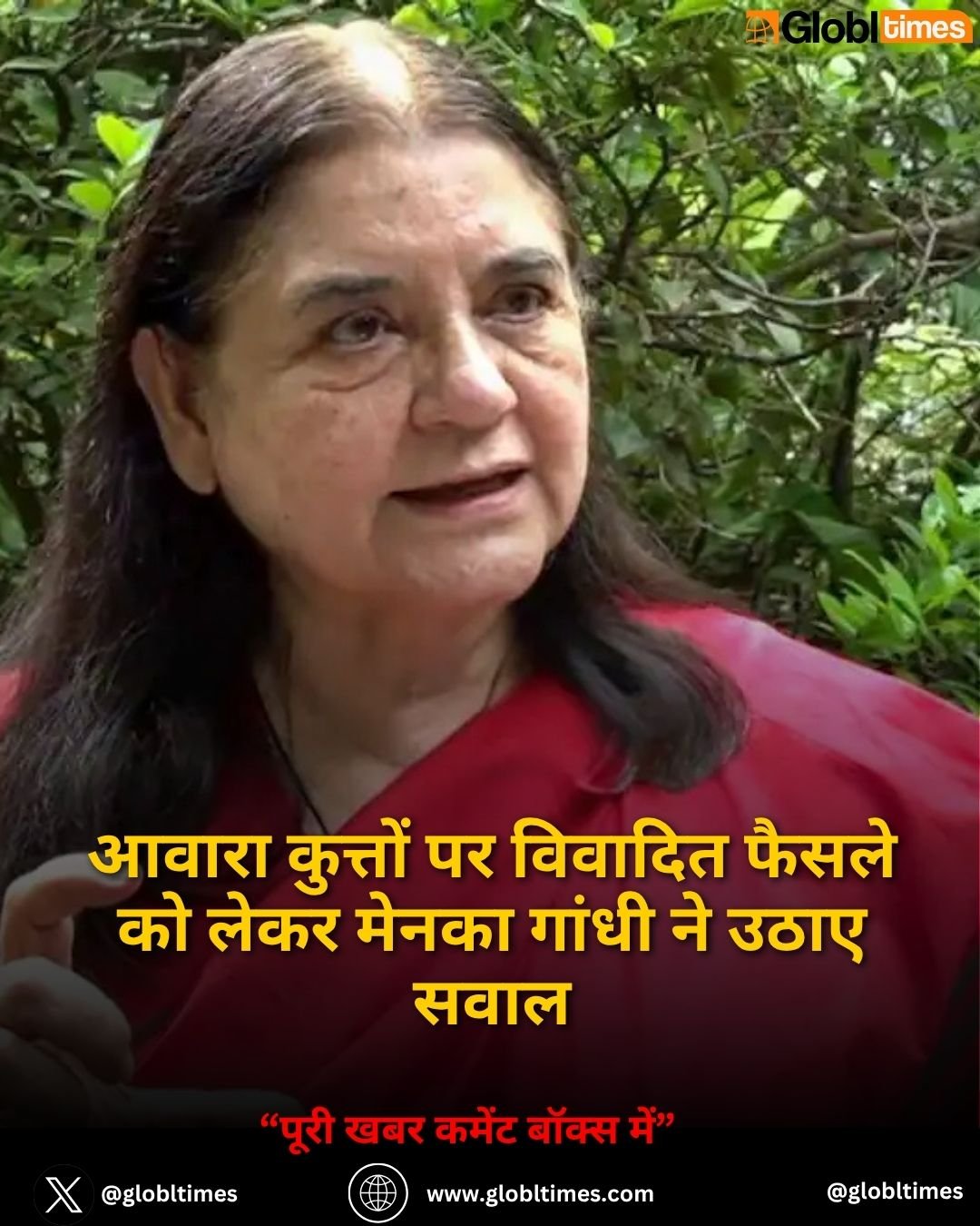 आवारा कुत्तों पर विवादित फैसले को लेकर मेनका गांधी ने उठाए सवाल