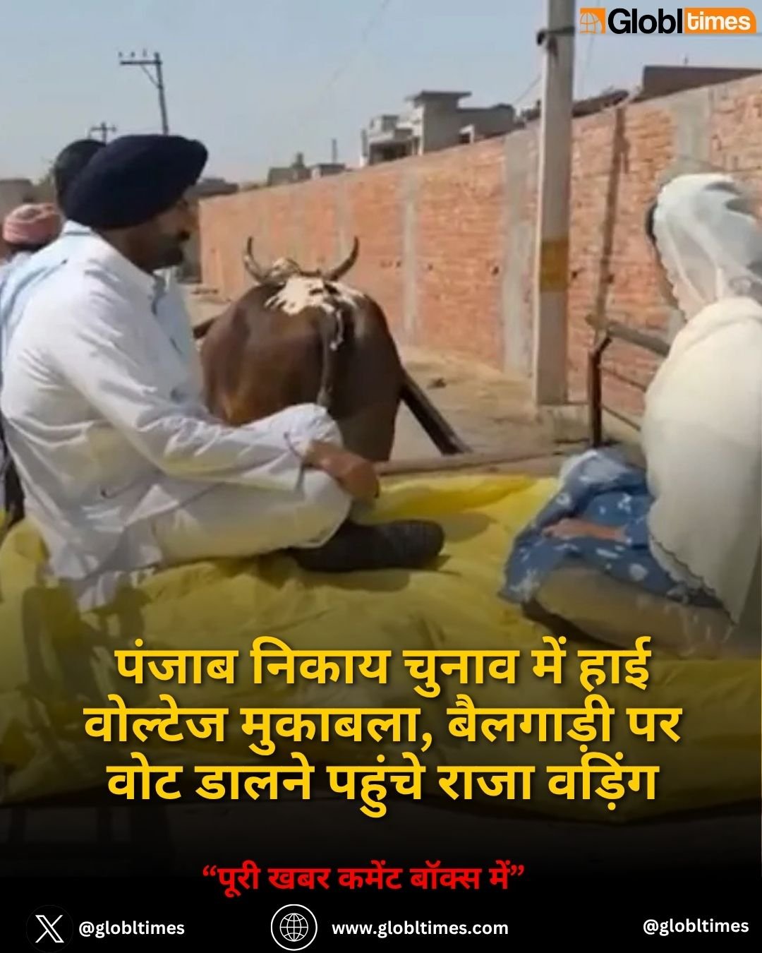 पंजाब निकाय चुनाव में हाई वोल्टेज मुकाबला, बैलगाड़ी पर वोट डालने पहुंचे राजा वड़िंग