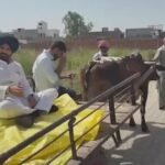 पंजाब निकाय चुनाव में हाई वोल्टेज मुकाबला, बैलगाड़ी पर वोट डालने पहुंचे राजा वड़िंग