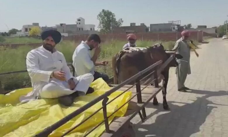 पंजाब निकाय चुनाव में हाई वोल्टेज मुकाबला, बैलगाड़ी पर वोट डालने पहुंचे राजा वड़िंग