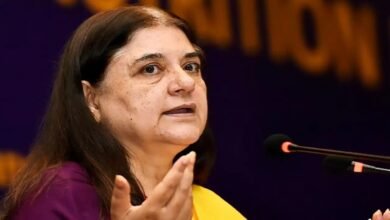 आवारा कुत्तों पर विवादित फैसले को लेकर मेनका गांधी ने उठाए सवाल
