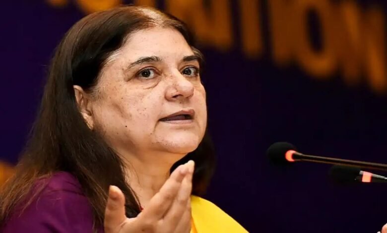 आवारा कुत्तों पर विवादित फैसले को लेकर मेनका गांधी ने उठाए सवाल