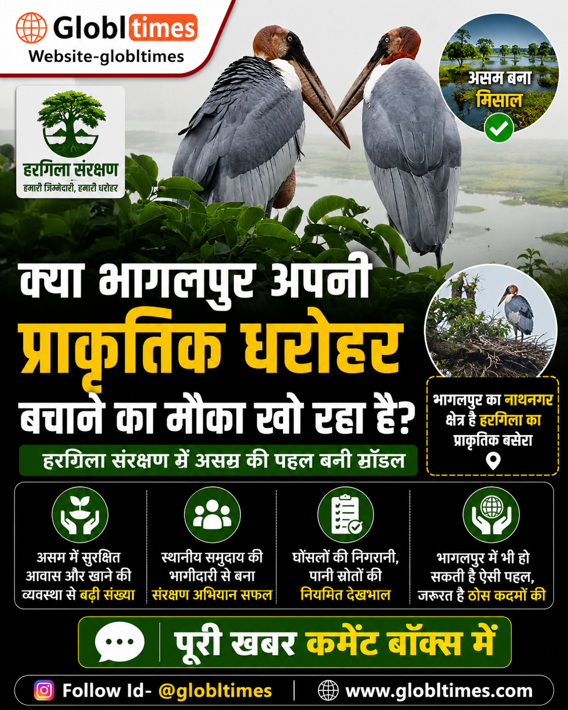 हरगिला संरक्षण: असम बना मिसाल, क्या भागलपुर अपनी प्राकृतिक धरोहर बचाने का मौका खो रहा है?