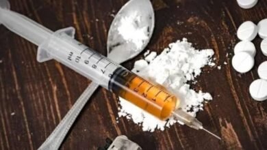 बिहार में शराबबंदी के बीच बढ़ा ड्रग्स का खतरा, सूखे नशे की बड़ी बरामदगी ने बढ़ाई चिंता
