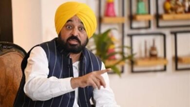पंजाब में मेरिट के आधार पर मिल रही सरकारी नौकरियां, सीएम भगवंत मान ने बांटे नियुक्ति पत्र