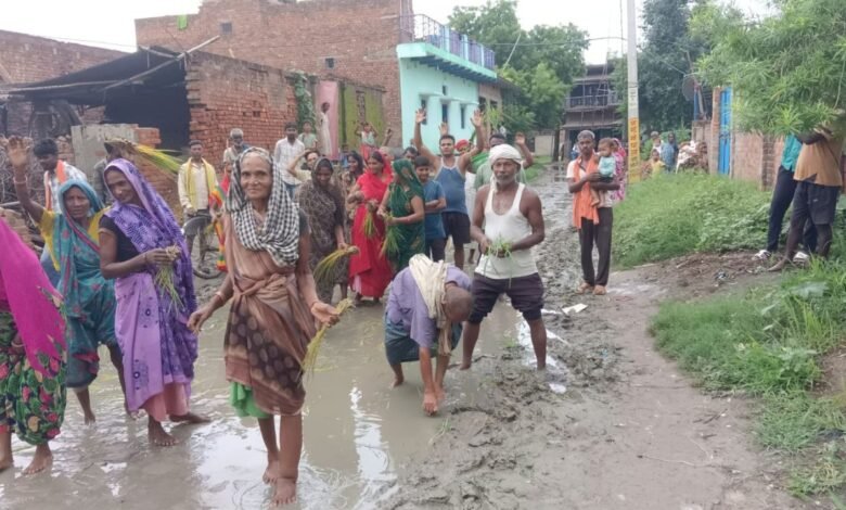 भागलपुर में सड़क पर धान रोपकर ग्रामीणों का अनोखा प्रदर्शन, बोले- अब सड़क नहीं तो आंदोलन होगा