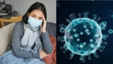 मोगा में स्वाइन फ्लू को लेकर अलर्ट, 3 मरीज मिले पॉजिटिव; जानें लक्षण और बचाव के तरीके