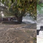 पश्चिम चंपारण में गंडक के दबाव से चंपारण तटबंध क्षतिग्रस्त, चार टीमें मौके पर