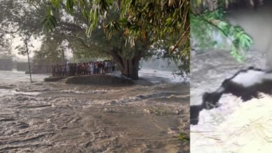 पश्चिम चंपारण में गंडक के दबाव से चंपारण तटबंध क्षतिग्रस्त, चार टीमें मौके पर