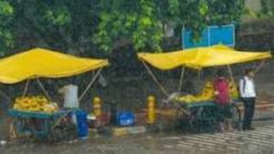 14 अक्टूबर को दिल्ली, यूपी, बिहार, हिमाचल समेत कई राज्यों में आंधी-बारिश, बिजली और ओलावृष्टि की संभावना है। जानें आज का मौसम अपडेट